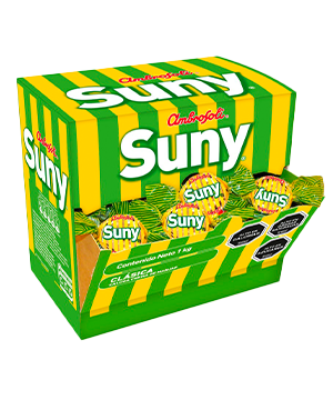 300x360_0014_3D-SUNY-1000-GR