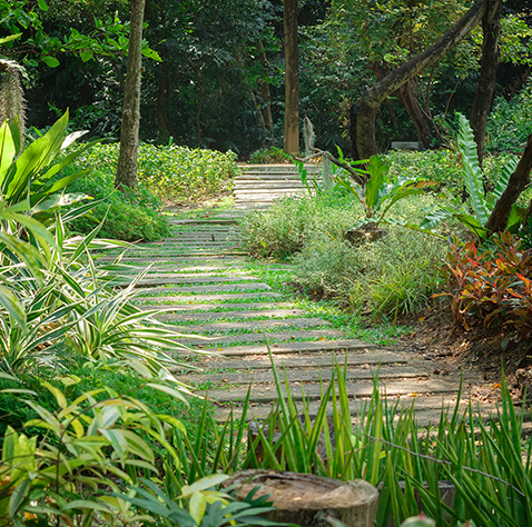 Paseo Jardín Botánico