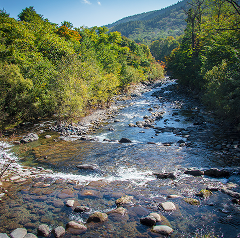 Reserva Nacional Río Clarillo