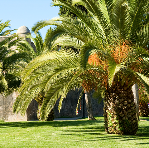 Parque Botanico