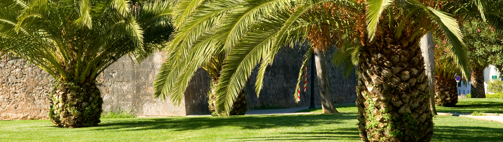 Parque Botanico