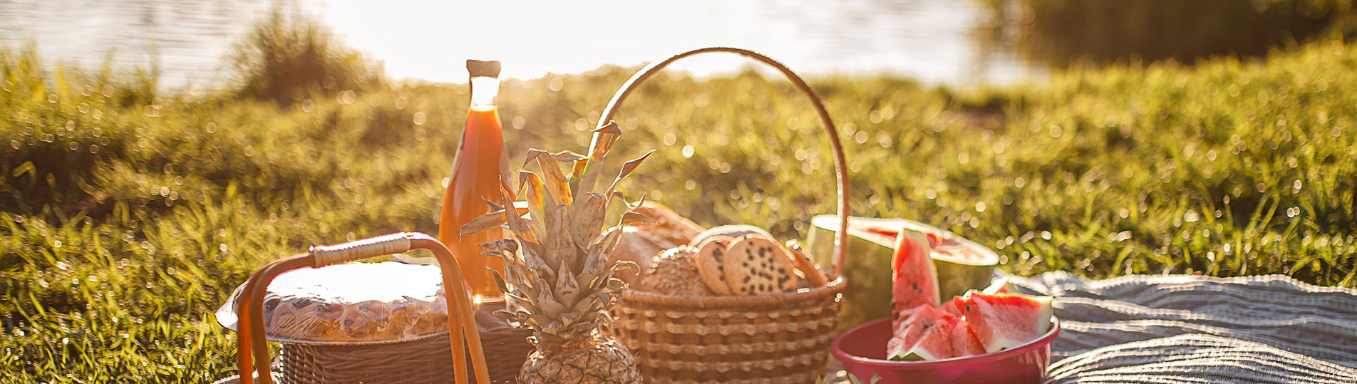 1904x539-picnic