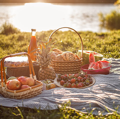 Picnic en Jardín Japonés