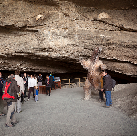 Cueva del Milodon