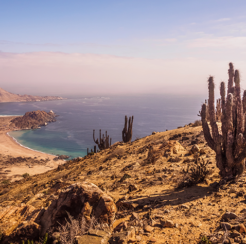 Parque Nacional Pan de Azúcar