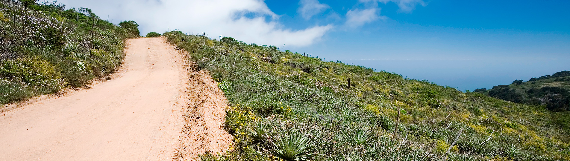 Parque-Nacional-Fray-Jorge