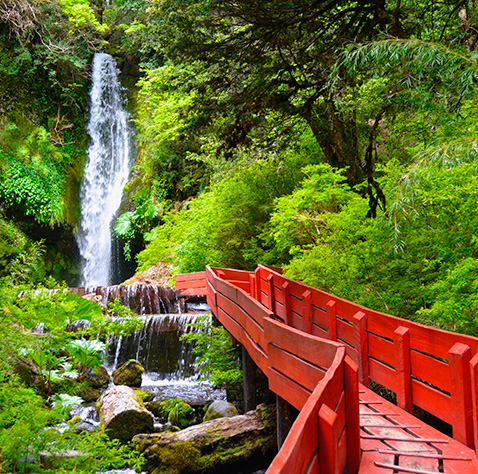 Mágico viaje por las Termas Geométricas