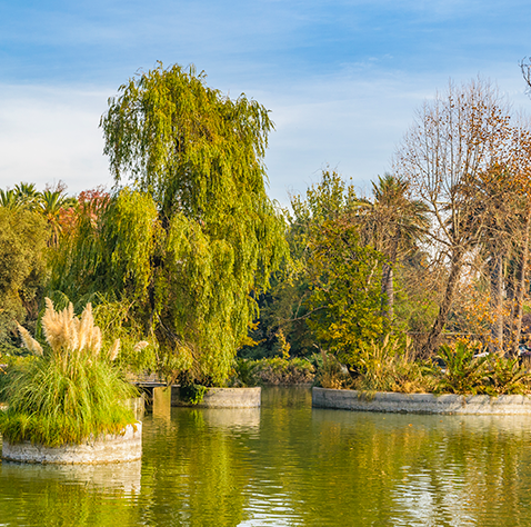 Parque Quinta Normal