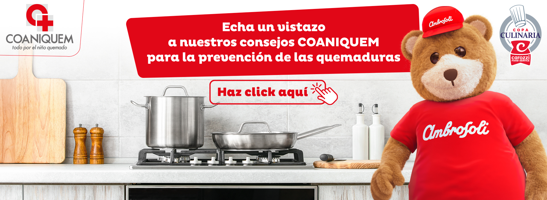 campana-coaniquem-desktop