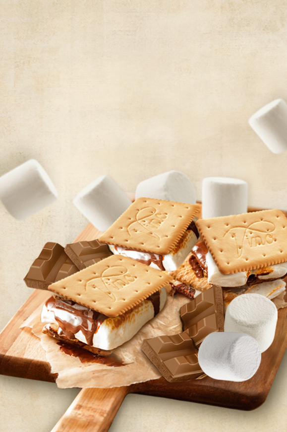 smores-579x870