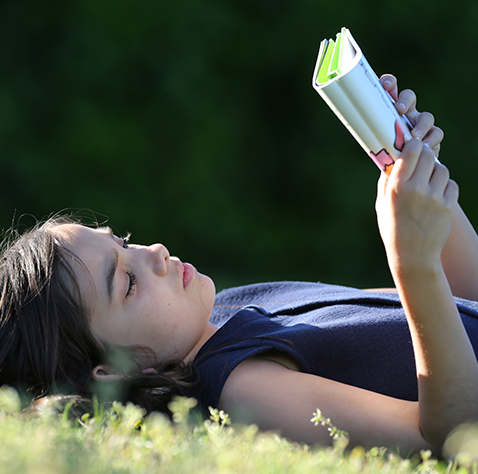 Primavera Del Libro