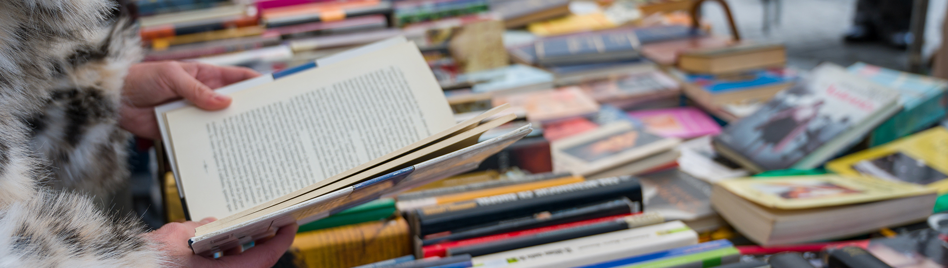 feria-del-libro