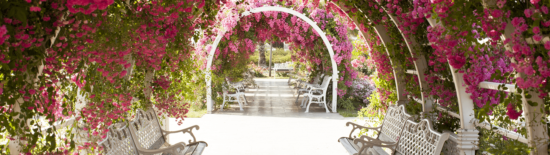 1905x539-pergola-flores-compressed